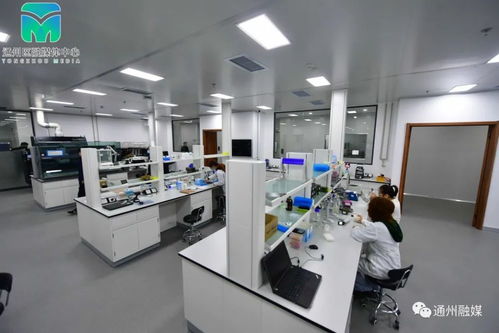 全市最大城市副中心國際種業科技園區研發中心正式投用 信息技術引領種業新未來
